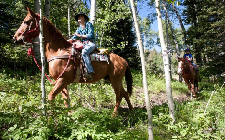 Beaver Springs Riding Stable