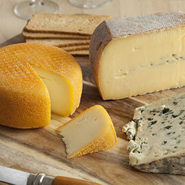 Various types of cheese