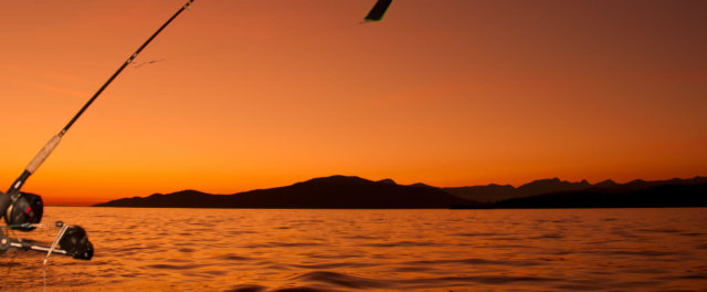 A fishing pole hanging over a lake from a boat