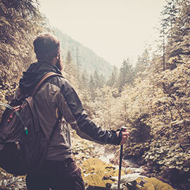 A hiker overlooking a forest stream