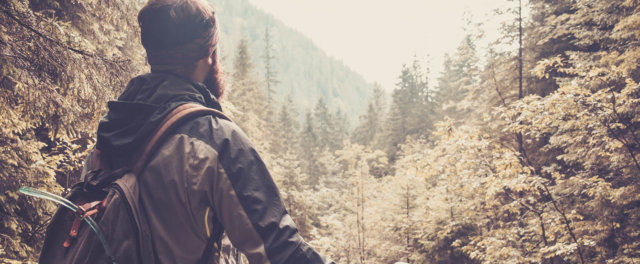 A hiker overlooking a forest stream