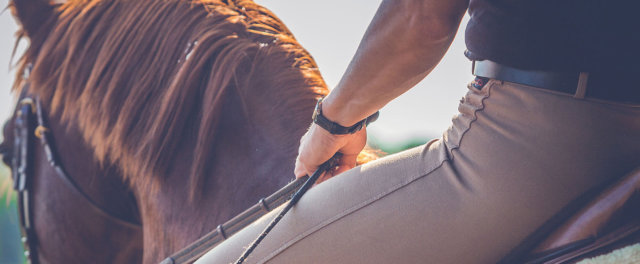 An English style horseback rider