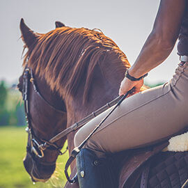 An English style horseback rider