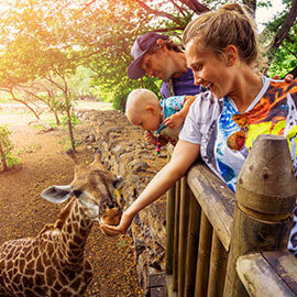 A family at a petting zoo