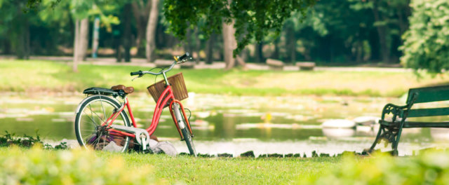 A bicycle with a basket parked at a park next to a pond