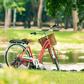 A bicycle with a basket parked at a park next to a pond