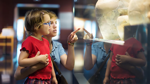 Looking at museum exhibit