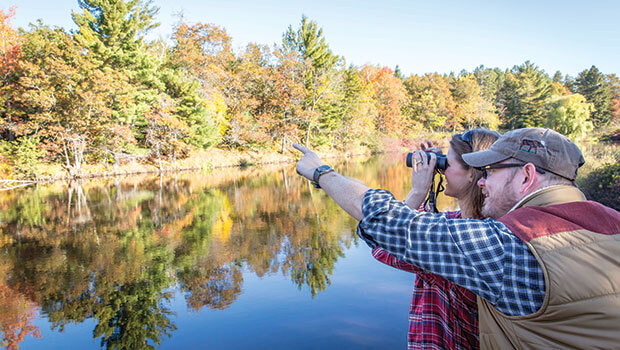 Go sightseeing in Washburn County