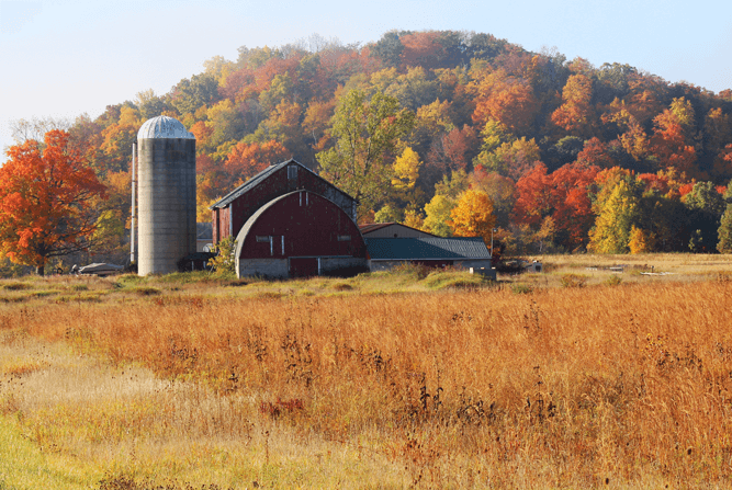 Farm in Autumn