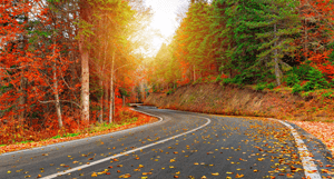 winding road in autumn